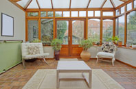 free Harlequin conservatory quotes